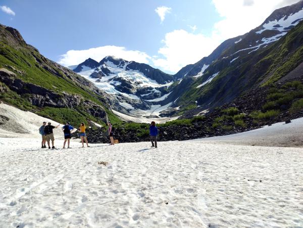 A very wide depth-of-focus photograph up a canyon to a mountain.  The bottom third of the picture is a snow field, packed down, a little dirty and churned by footsteps, perhaps 50 or a hundred meters wide before curving gently up into the hills on both sides.  Slightly below the center of the photo, a child in a blue jacket and gray pants is walking away.  A little beyond them and to the left, five adult-sized people stand in a loose semi-circle, wearing shorts, t-shirts, several with backpacks.  One person has a dog at their side.  Around one third up from the bottom of the picture, a landslide of dark gray big rocks interrupts the snow.  Scattered green bushes grow on the landslide.  Beyond the landslide, the snow continues up the canyon, rising into a rocky mountain more than half-covered with snow and ice, with very little green. The sides of the canyon are a mix of green stretches, rocks, and scree. The sky above is blue and partly cloudy, with bright sun apparently behind clouds on the top right, leaving most of the right canyon wall in shadow and throwing medium-length shadows from the people.