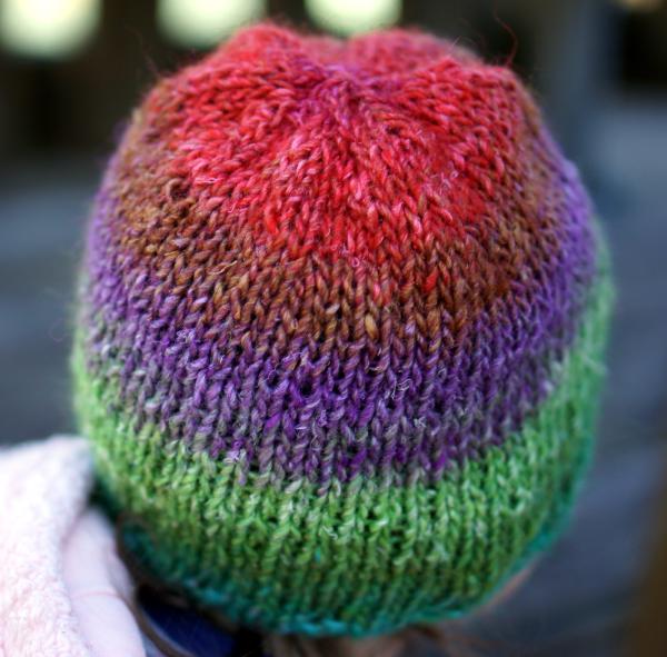 A knitted hat with stripes of lurid red, brown, deep blue, and a color slightly too dark to be lime green, worn by a person facing awy, covering their entire head from behind, with a bit of light fleece and pink collar visible.  The background is blurred.