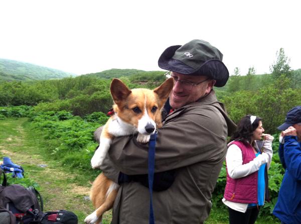 A person in rain gear holding a tri-color corgi in their arms, outdoors surrounded by greenery.