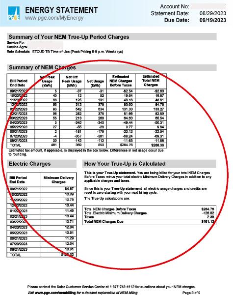 PG&E Energy Statement Page 3.  Many fields are covered with gray boxes.  A red ellipse encompasses most of the page.